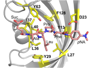 Logo EPR