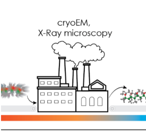 Logo cryoEM